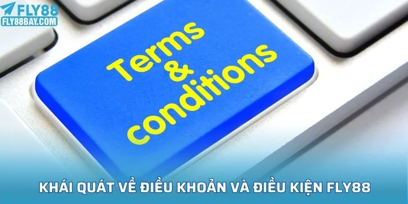Khái quát về điều khoản và điều kiện Fly88