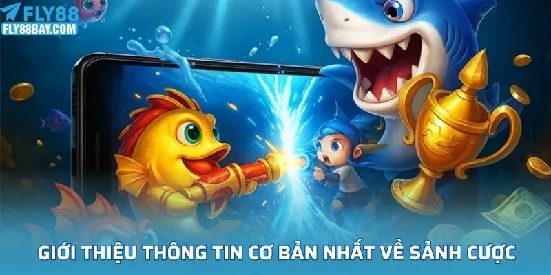 Giới thiệu thông tin cơ bản nhất về sảnh cược